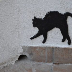 Kot wycięty z laminatu na ścianie autorstwa Franciszka Kijewskiego