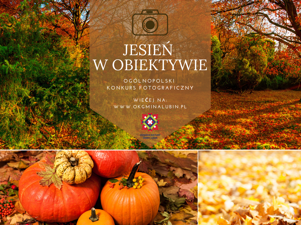 Konkurs jesień w obiektywie