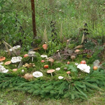 Kompozycja leśna z rosnącymi grzybami