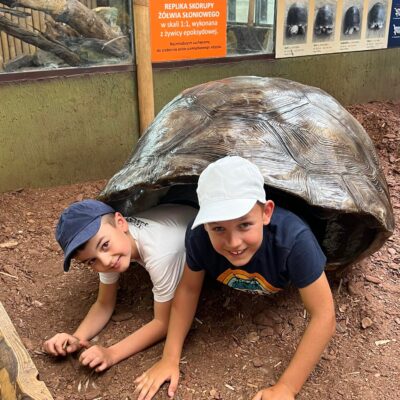 dwóch chłopców schowanych do skorupy żółwia