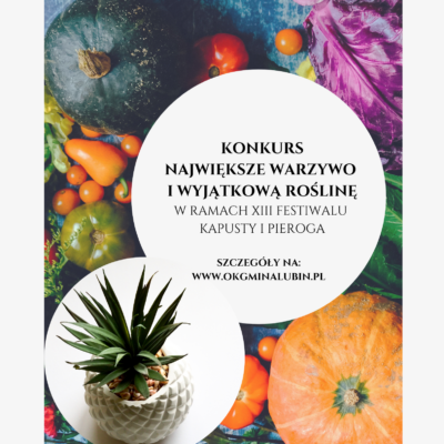 konkurs na największe warzywo i wyjątkową roślinę organizowany w ramach festiwalu kapusty i pieroga w Księginicach
