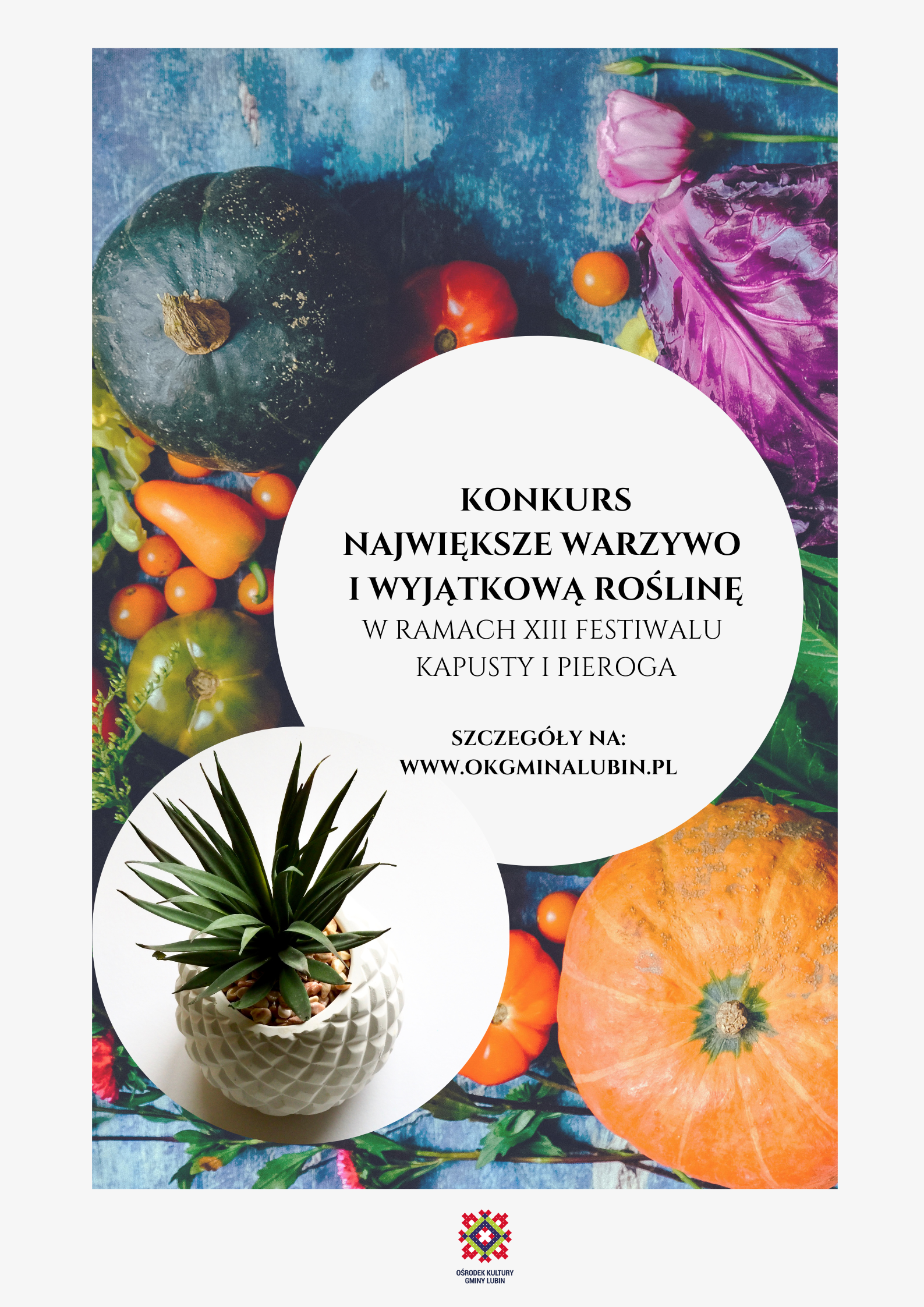 konkurs na największe warzywo i wyjątkową roślinę organizowany w ramach festiwalu kapusty i pieroga w Księginicach