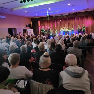 Widownia podczas koncertu