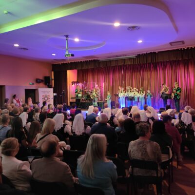 Zebrani ludzie na koncercie oglądają występ