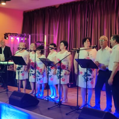 Zespół podczas występu śpiewa na scenie