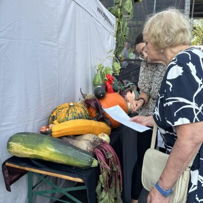 Konkurs na największe warzywo i najoryginalniejszą roślinę. Jury podczas prac konkursowych