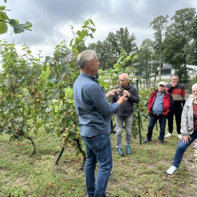 Mieszkańcy gminy Lubin podczas wyjazdu na Winobranie.