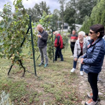 Mieszkańcy gminy Lubin podczas wyjazdu na Winobranie.