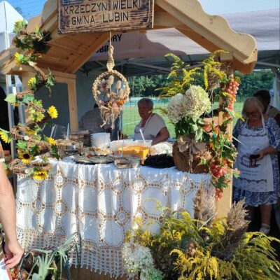 Domek Zespołu Lubin