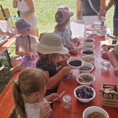 Dzieci przy stole na warsztatach z herbaty