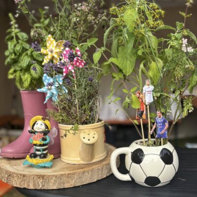 mini ogródek, prace na konkurs zioła w kaloszach i piłce