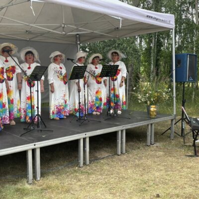 zespół lejdis przy mikrofonach na scenie