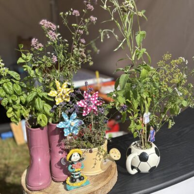 mini ogródek, prace na konkurs zioła w kaloszach i piłce