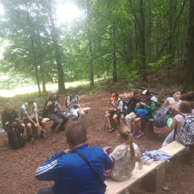 dzieci w lesie podczas warsztatów z przewodnikiem