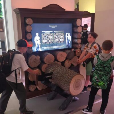 dzieci tną drzewo w interaktywnej przestrzeni