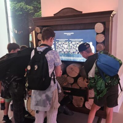 dzieci tną drzewo w interaktywnej przestrzeni