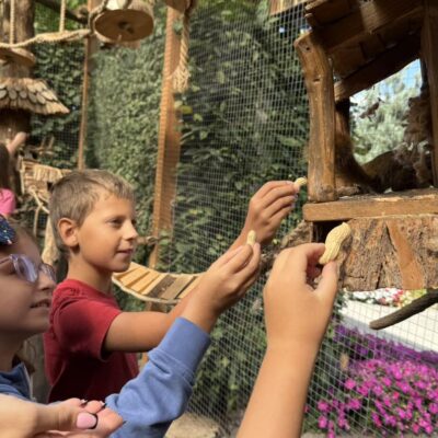 dzieci karmią wiewiórki orzeszkami