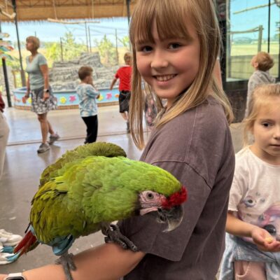 dziewczynka ma na ręce dużą zieloną papugę, jest szczęśliwa