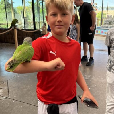 chłopiec na ręce ma małą papugę, jest zadowolony