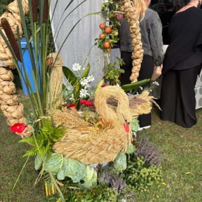 kosz z łabędziem zrobiony ze słomy i dary jesieni