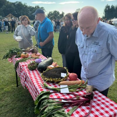 mężczyzna ogląda warzywa konkursowe, patrzy na buraki, marchew