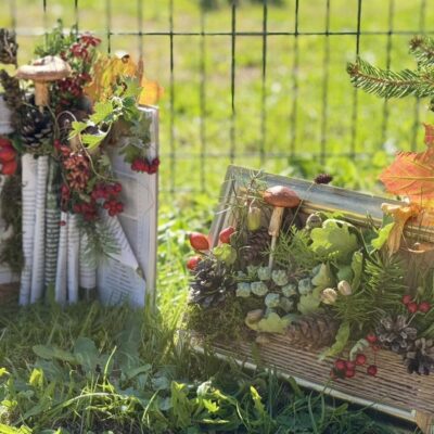 runo leśne konkursowe prace