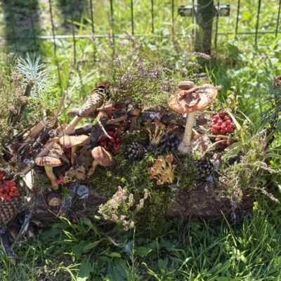 prace konkursowe runo leśne