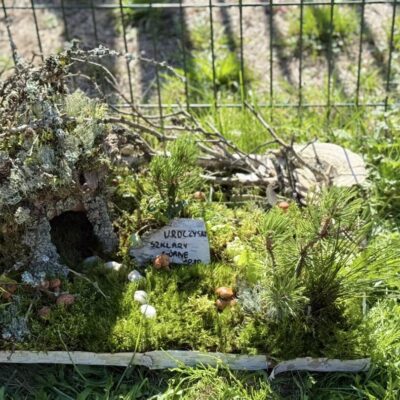 prace konkursowe runo leśne