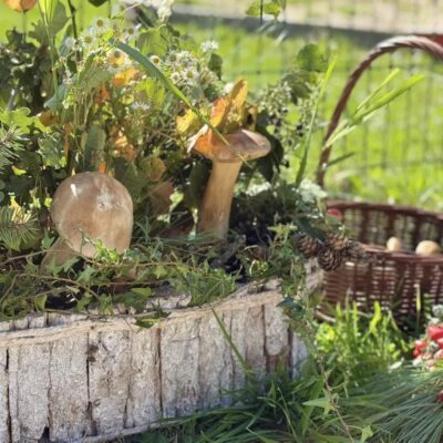 prace konkursowe runo leśne